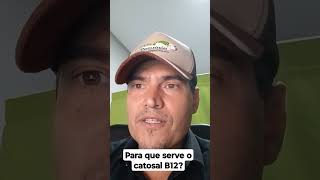 Para que serve o catosal B12 [upl. by Ittam266]