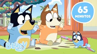 🔴 AO VIVO Aventuras da Bluey com Amigos e Familiares 💙 ✨  65 MINUTOS  Bluey [upl. by Artek]