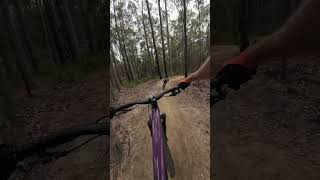 Nowra Now Has Rad MTB Jumps Funnel Web Trail at Superbowl [upl. by Nnylarej]