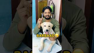 Pogo Makeup Kit Kha Gya😂😂 shorts vlog minivlog puppy labrador [upl. by Marice54]