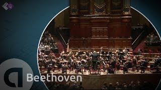 Beethoven Symphony no 3 Eroica  Philippe Herreweghe  Full concert in HD [upl. by Sairacaz]