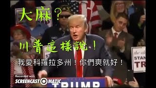 【若您的孩子不幸沾染大麻，請看！】（母親節媽媽特輯） [upl. by Atonsah]