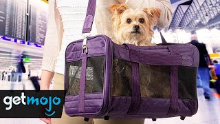 Top 4 Dog Carriers For Transporting Your Pets [upl. by Frick]