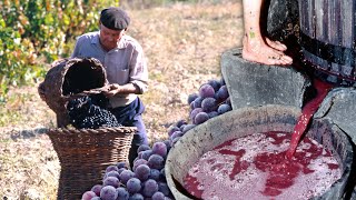 Los VINATEROS Elaboración de VINO CASERO con técnicas ancestrales para el CONSUMO FAMILIAR [upl. by Armbruster]