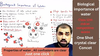 Biological importance of water  properties of water  class 11 biology  in Urdu Hindi medium [upl. by Terryl]