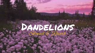 Ruth B  Dandelions Slowed amp Reverb [upl. by Eiramaneet]