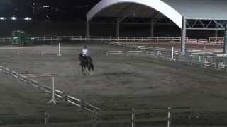 horse riding 乗馬３級経路 equitation 乗馬クラブクレイン kuda caballo reiten equitacion [upl. by Najed]