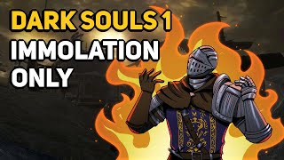 Can You Beat DARK SOULS 1 With Only Immolation [upl. by Tanya537]