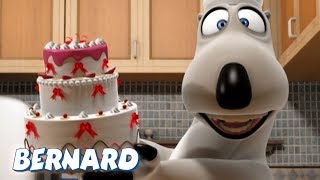 Bernard Bear  The Cook AND MORE  30 min Compilation  Cartoons for Children [upl. by Yeleak]