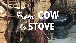 From cow to stove Why this biogas farm in Senegal smells like success [upl. by Veator]