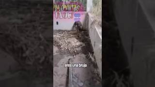 Bruja o Lechuza 😨😱 DESCUBRÍ mi MAYOR MIEDO [upl. by Atnauqahs]