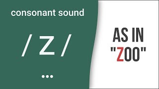 Consonant Sound  z  as in quotzooquot – American English Pronunciation [upl. by Asselim]