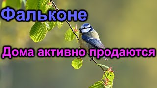 Фальконе Дома активно продаются [upl. by Anuait655]