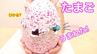 温めよう タマゴを割って生まれてくる うまれてウーモ  Jumbo Eggs Hatching Toy WOOMO [upl. by Yliab873]