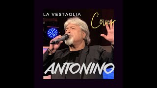 MASSIMO RANIERI  La vestaglia Cover di Antonino [upl. by Nerat87]