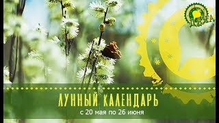 Лунный календарь с 20 по 26 июня [upl. by Netsirc864]