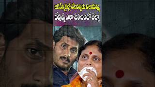 కొడుకు కోసం విజయమ్మ ఏడుస్తూ  Vijayamma Emotional Pray for Her Son YS Jagan  Cine Megham [upl. by Adnana495]