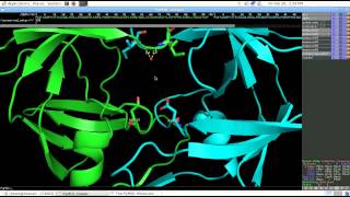 Biochemistry Structure of the HIV1 Protease [upl. by Darla36]