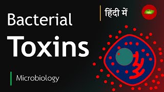 Bacterial Toxin in Hindi  Exotoxin  Endotoxin  Microbiology in Hindi  Basic Science Series [upl. by Gaston]