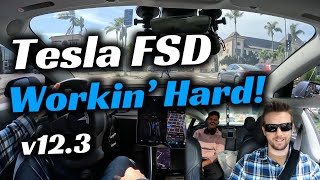 A Customer from India Experiences FSD Beta v123  Customer Reactions Ep 65 [upl. by Orola877]