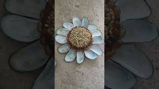 short vitamin D tablet  ഉഴുന്ന് പരിപ്പ് sunflower [upl. by Eetsim]