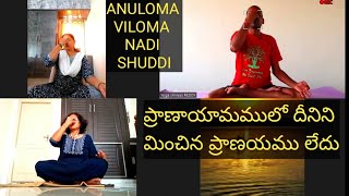 ANULOMA VILOMA PRANAYAM  NADI SHUDDI  UNLIMITED BENEFITS PRANAYAM  SWAMI VIVEKANANDA YOGA [upl. by Floro100]