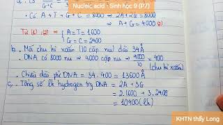 Nucleic acid DNA và RNA  Sinh học 9 P7 [upl. by Aerdnaxela]