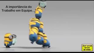 A Importância do Trabalho em Equipe [upl. by Arotal67]