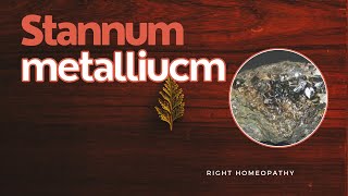 Stannum metallicum  HERF  Right Homeopathy [upl. by Nymzaj938]