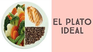 Como BAJAR DE PESOo sin contar calorias EL PLATO IDEAL [upl. by Jem]