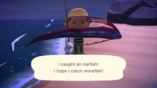 How To Catch An Oarfish in Animal Crossing New Horizons [upl. by Aggappora]