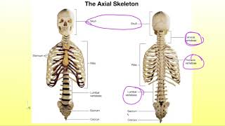 Lecture 4 part 2 [upl. by Edijabab]