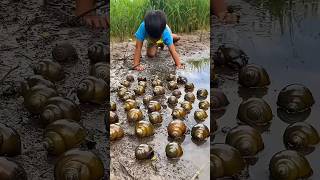 Survival Skills SIMPLE and USEFUL my kerang ijo bushcraft camping outdoors [upl. by Okemak]