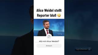 Weidel vs Tagesschaumoderator [upl. by Eninnej]