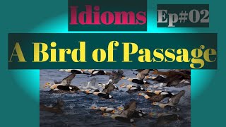 IdiomsA Bird of PassageEp02Javaid Mehar [upl. by Kerry]