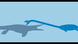 tylosaurus proriger vs elasmosaurus [upl. by Nirrok]