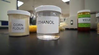 How To Make Ethanol  The Ethanol Effect [upl. by Nylirahs511]