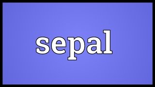 Sepal Meaning [upl. by Ojytteb]