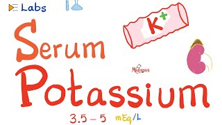 Serum Potassium  Hyperkalemia amp Hypokalemia  Electrolytes Series [upl. by Okechuku]