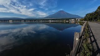 朝の山中湖畔を散歩しながら見る富士山 [upl. by Kensell224]