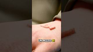 COME FUNZIONANO I PIERCING SOTTO PELLE creditszackdfilms [upl. by Emmey]