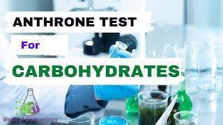 Anthrone Test  General test for Carbohydrates [upl. by Nnyluqcaj834]