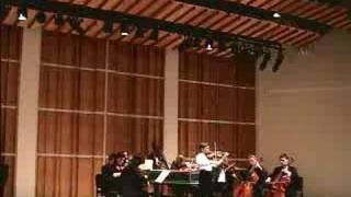 VIVALDI  Concerto in A minor for violin  1st mvmt [upl. by Acsehcnarf]