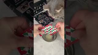 Adventskalender Katze  leckere Zahnpflege [upl. by Noyad]