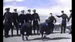 Cossacks Dance from Soviet Army Aidamir Mugu  Chernie Glasa [upl. by Gnel]