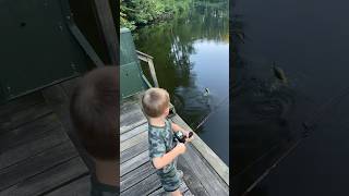 2yr old Catches Monster Bream [upl. by Citron]