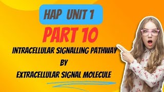 Intracellular signalling pathway activation by extracellular signal molecule Part 10 [upl. by Tricia57]