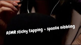 ASMR Sticky Tapping and Spoolie Nibbling Sounds [upl. by Enaffit]