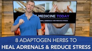 8 Adaptogen Herbs to Heal Adrenals and Reduce Stress [upl. by Georgetta987]