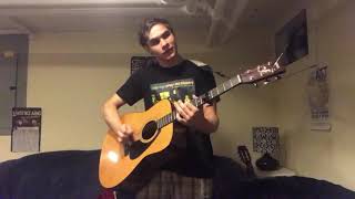 The Weakerthans  The Reasons acoustic cover [upl. by Anirret]